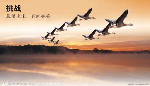 我们要感谢对手_800字