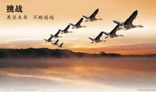 我们要感谢对手_800字