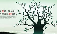 成长中我学会了谦虚