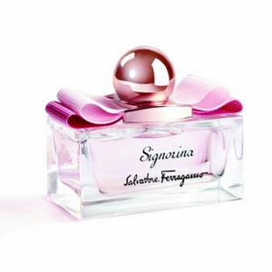 寻找那淡淡的芬芳_650字