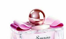 寻找那抹淡香_650字