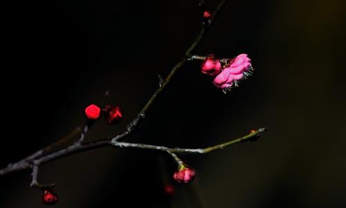 自己的名字-安祥人_1200字