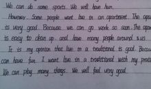 初一英语作文：我最喜欢的花_500字