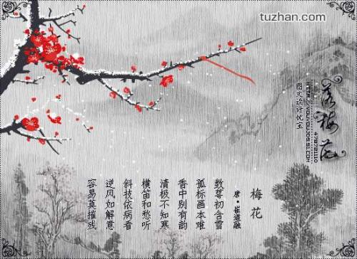 落花标记_550字