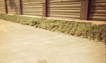 时光依旧.孤单_500字