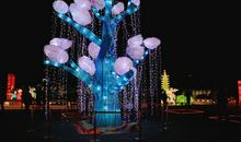 小灯会，大精彩_900字