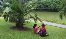 家乡春天的公园