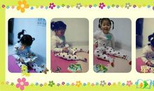 《彩虹鸽》读后感