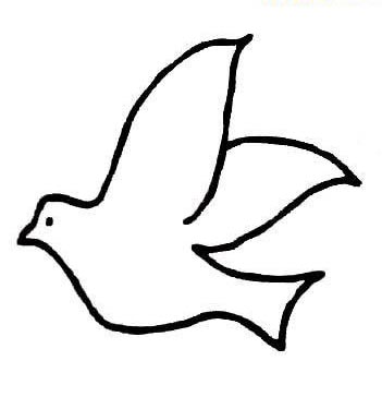 让鸟儿飞翔；我是一片叶子（王浩轩）_500字