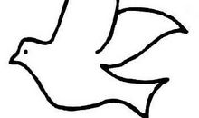 放小鸟飞；我是一片叶子（王浩轩）_500字