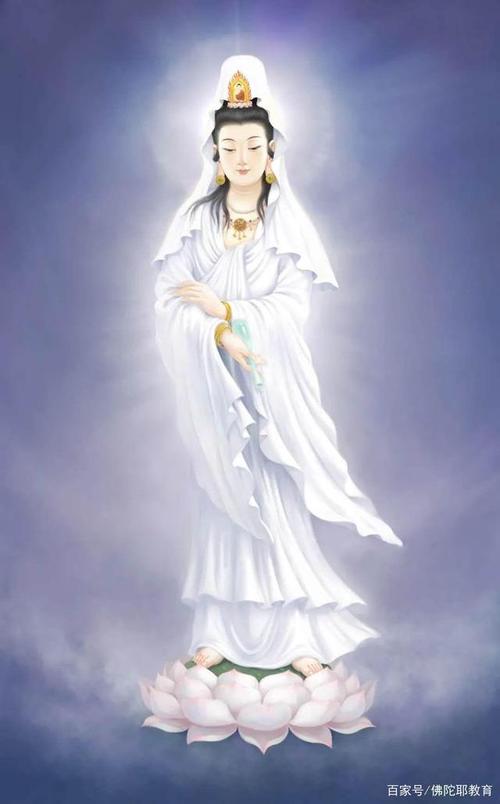 自己的命运