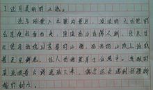 关于运动会的作文：美好的相册_750字