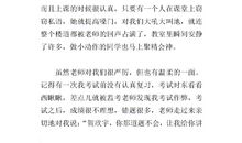 新的数学老师_400字