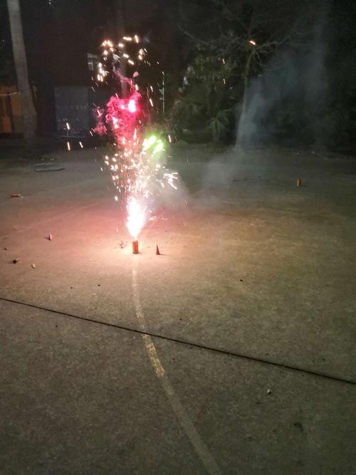 我的新年愿望_1000字