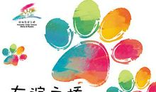 我是一片叶子；友谊之桥（唐晴）_600字