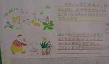 我的读书故事_900字