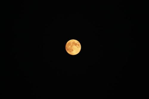 又是中秋之夜