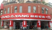 秋登朝阳亭_450字