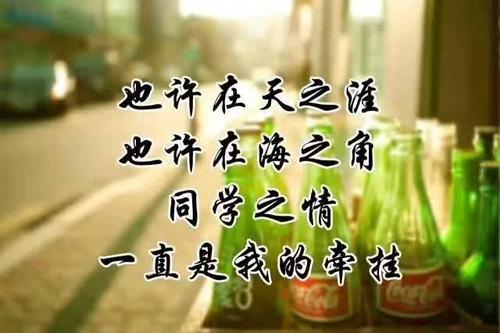 很高兴成为你的同学