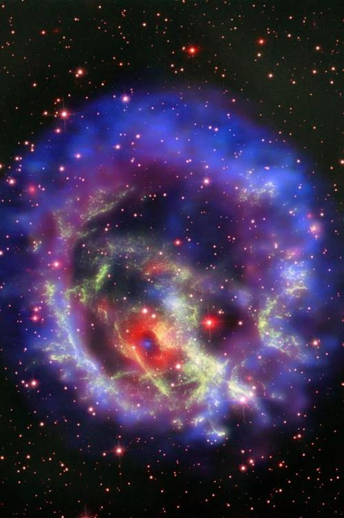 [超新星中学组]点亮我的star_650字