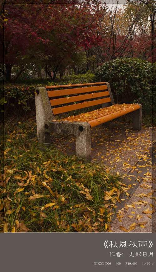 秋风秋雨回想过去