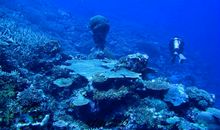 来自水中，却怕水冲；放在水中，无影无踪（猜一生活用品）