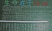 运动会黑板报——生命在于运动_20字