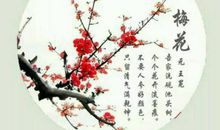 有毛不是鸟，生来奇又巧，无翅空中飞，无脚地上跳