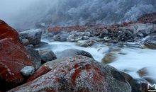 有山没有石头，有路没有人走，有河没有鱼游（猜一物）