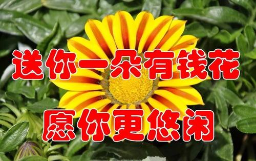 这个季节花开，我想我会更勇敢_900字