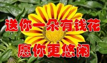 这一季花开，我想我会更勇敢_900字