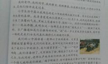 运动会日记：运动会日记_300字