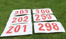 运动会口号：致跳高运动员_100字