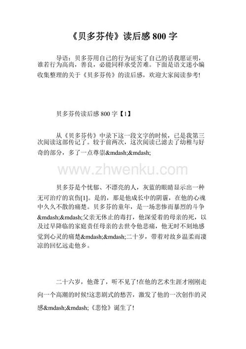 成功不是偶然的-我对读《贝多芬》有想法