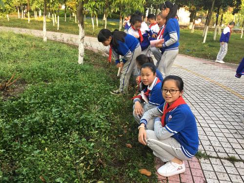 我丰富多彩的校园生活_800字