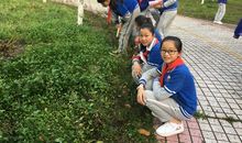 我的七彩校园生活_800字