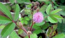 不一样的世界_700字