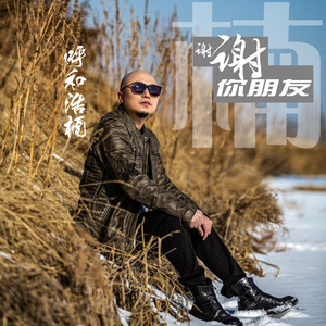 谢谢你，朋友