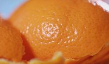 浑身是宝的橘子（赵芃菲）_300字