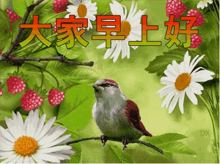 五行民谣