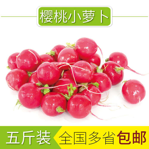 小红萝卜长三英寸，但短但不长（猜测一日用品）
