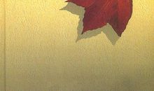 我是一片叶子；考试了（贾 煜）_700字