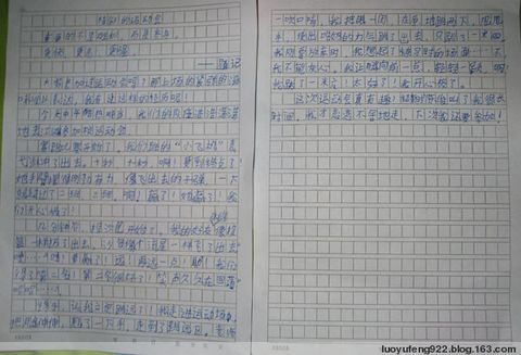运动会论文集：运动会后的思考_250字