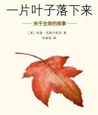 我是一片叶子（郑书阳）_300字