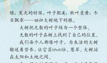我是一片叶子（程俊宁）_250字
