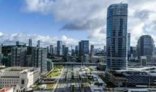 友谊之桥（朱竟赫）_250字