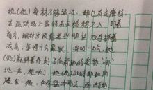 关于运动会的作文：记一次运动会_650字