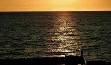 生命的美丽来自痛苦_900字