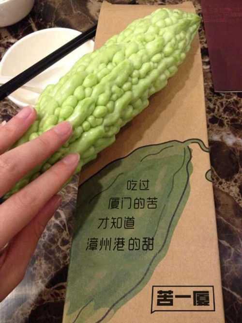 苦瓜_550字