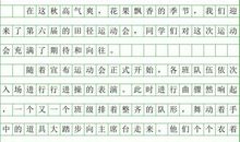 关于运动会的作文：倒霉的运动会_750字